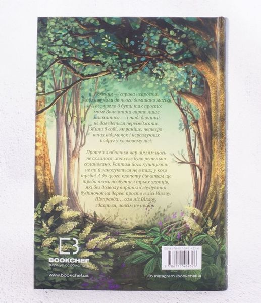 Книга Дівчинка на ім&rsquo;я Віллоу. Книга 2: Шепіт лісу купити в інтернет-магазині Sylarozumu.com.ua