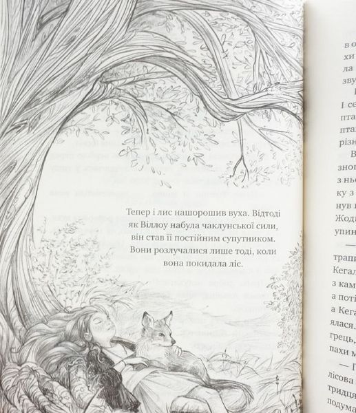 Книга Дівчинка на ім&rsquo;я Віллоу. Книга 2: Шепіт лісу купити в інтернет-магазині Sylarozumu.com.ua
