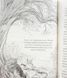 Книга Дівчинка на ім&rsquo;я Віллоу. Книга 2: Шепіт лісу і фото від інтернет-магазину Sylarozumu.com.ua