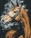 Комплектація Розмальовка для дорослих Погляд коні (0007Т1) Bambino (Без коробки) від інтернет-магазину товарів для творчості Sylarozumu.com.ua