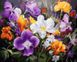 Комплектація Картини за номерами Кольорові квіти (BRM46486) від інтернет-магазину товарів для творчості Sylarozumu.com.ua