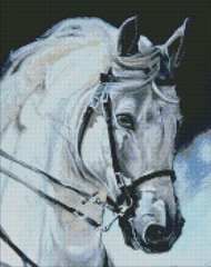 Фото Картина из страз Гордый конь Идейка (AMO7394, На подрамнике) от интернет-магазина рукоделия Sylarozumu.com.ua