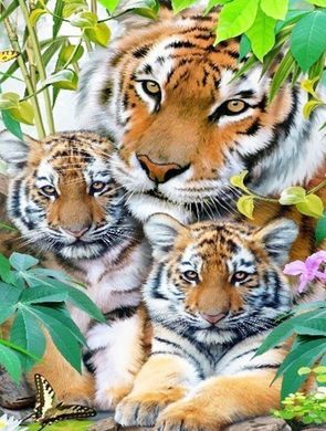 Фото Набор алмазная вышивка Тигрица с тигрятами My Art (MRT-TN541, На подрамнике) от интернет-магазина рукоделия Sylarozumu.com.ua