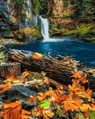 Фото Картина по номерам Осенний водопад (BK-GX43702) (Без коробки) от интернет-магазина картин-раскрасок Sylarozumu.com.ua
