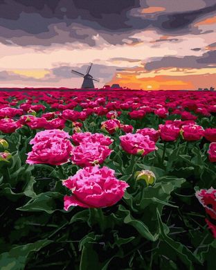 Фото Холст для рисования Ветряная мельница в цветочном поле (BRM45733) от интернет-магазина картин-раскрасок Sylarozumu.com.ua