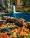 Комплектация Картина по номерам Осенний водопад (BK-GX43702) (Без коробки) от интернет-магазина товаров для творчества Sylarozumu.com.ua