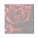 Комплектація Малювання по номерам Троянда. ДВП (кольорова схема) (AS2028) ArtStory (Без коробки) від інтернет-магазину товарів для творчості Sylarozumu.com.ua