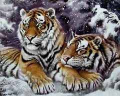 Фото Алмазная техника Пара тигров в снегу My Art (MRT-TN1020, На подрамнике) от интернет-магазина рукоделия Sylarozumu.com.ua