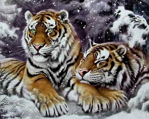 Фото Алмазна техніка Пара тигрів у снігу My Art (MRT-TN1020) від інтернет-магазину рукоділля Sylarozumu.com.ua