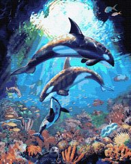 Фото Картина за номерами Підводний світ дельфінів (BK-GX36069) (Без коробки) від інтернет-магазину картин-розмальовок Sylarozumu.com.ua
