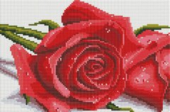 Фото Картина з страз Троянди ColorArt (CLR-PDT703) від інтернет-магазину рукоділля Sylarozumu.com.ua