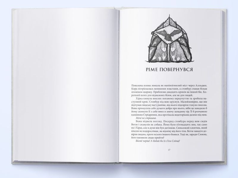 Дитя Одина книга в магазине Sylarozumu.com.ua