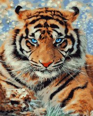 Фото Раскраска по номерам Вид хищника (BRM43218) от интернет-магазина картин-раскрасок Sylarozumu.com.ua