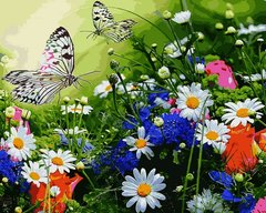Фото Картина за номерами Квіткове поле і метелики (VP1254) Babylon від інтернет-магазину картин-розмальовок Sylarozumu.com.ua