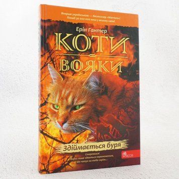 Книга Здіймається буря. Коти-вояки 4 купити в інтернет-магазині Sylarozumu.com.ua