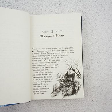 Школа добра і зла. Книга 1 книга в інтернет-магазині Sylarozumu.com.ua