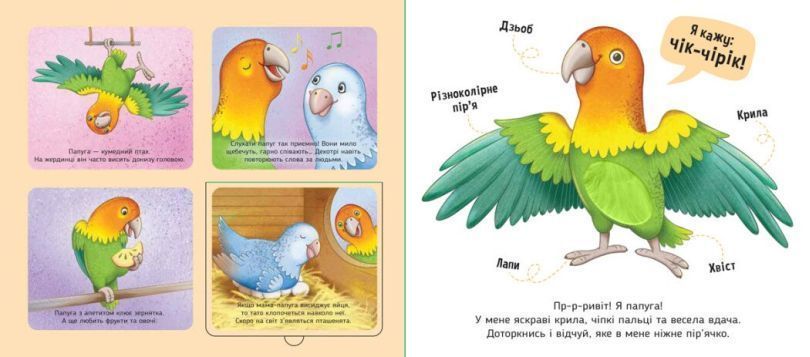 Книга Познайомся і погладь Мої улюбленці купити в інтернет-магазині Sylarozumu.com.ua