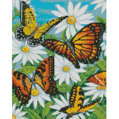 Фото Алмазна вишивка Метелики в ромашках Strateg (SR-HX419) від інтернет-магазину рукоділля Sylarozumu.com.ua