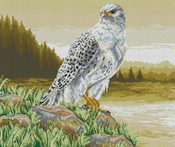 Фото Мозаїка алмазна Соколиний погляд (48 х 57 см) Dream Art (DA-31743) від інтернет-магазину рукоділля Sylarozumu.com.ua