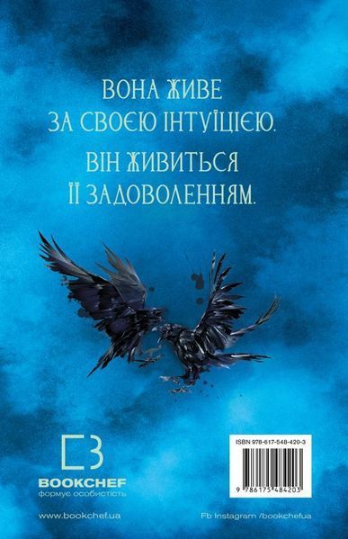 Книга Пробудження. Книга 1: Падіння руїни та люті купити в інтернет-магазині Sylarozumu.com.ua