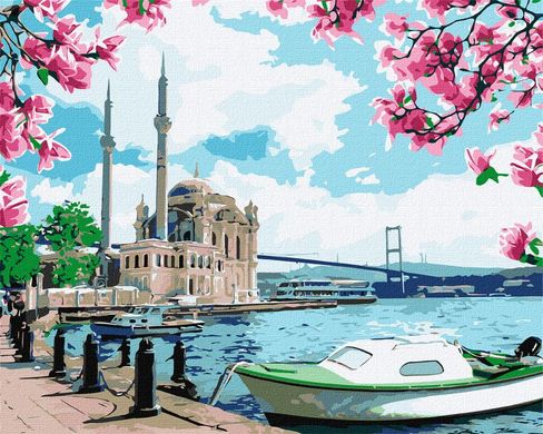 Фото Картина за номерами Яскравий Стамбул (KHO2757) Идейка (Без коробки) від інтернет-магазину картин-розмальовок Sylarozumu.com.ua