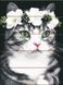 Комплектация Картина по номерам из дерева Романтическая кошка (ASW211) ArtStory от интернет-магазина товаров для творчества Sylarozumu.com.ua