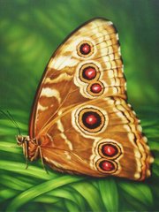 Фото Картина з страз Метелик монарх ТМ Алмазна мозаіка (DMF-176) від інтернет-магазину рукоділля Sylarozumu.com.ua