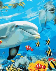 Фото Картина за номерами Посмішка дельфіна (AS0868) ArtStory від інтернет-магазину картин-розмальовок Sylarozumu.com.ua