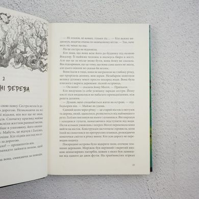 Нічний садівник книга в інтернет-магазині Sylarozumu.com.ua