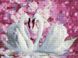 Комплектация Картина из страз Белые лебеди Rainbow Art (EJ1046, ) от интернет-магазина наборов для рукоделия Sylarozumu.com.ua