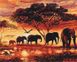 Комплектація Картина за номерами Слони в савані (BS5189) (Без коробки) від інтернет-магазину товарів для творчості Sylarozumu.com.ua
