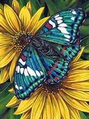 Фото Картина з страз Метелик на гербері ТМ Алмазна мозаіка (DMF-178) від інтернет-магазину рукоділля Sylarozumu.com.ua