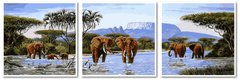 Фото Картина по номерам Триптих. Слоны на водопое (VPT053) Babylon от интернет-магазина картин-раскрасок Sylarozumu.com.ua