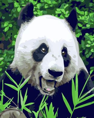 Фото Картина по номерам Голодная панда (SR-B-GS517) Strateg от интернет-магазина картин-раскрасок Sylarozumu.com.ua