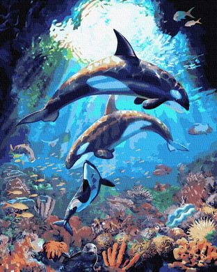 Фото Раскраска по номерам Подводный мир дельфинов (BRM36069) от интернет-магазина картин-раскрасок Sylarozumu.com.ua