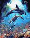 Комплектация Раскраска по номерам Подводный мир дельфинов (BRM36069) от интернет-магазина товаров для творчества Sylarozumu.com.ua