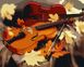 Комплектация Картина по номерам Золотая скрипка (BK-GX34202) (Без коробки) от интернет-магазина товаров для творчества Sylarozumu.com.ua