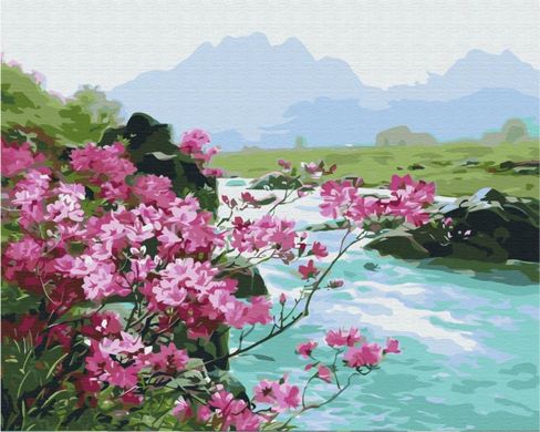 Фото Картина по номерам Горные цветы (BSM-B51394) от интернет-магазина картин-раскрасок Sylarozumu.com.ua