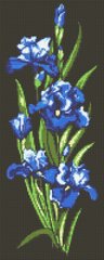Фото Картина из страз Синие ирисы ТМ Алмазная мозаика (DM-325, ) от интернет-магазина рукоделия Sylarozumu.com.ua