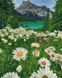 Комплектація Картина з страз Підніжжя гір Брашмі (GF4815) від інтернет-магазину наборів для рукоділля Sylarozumu.com.ua