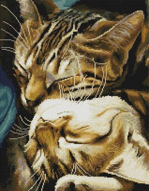 Фото Алмазная живопись Спящие котики BrushMe (GF5454, На подрамнике) от интернет-магазина рукоделия Sylarozumu.com.ua