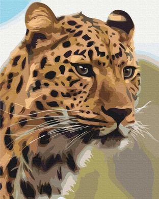 Фото Картина раскраска Пятнистый леопард (BS52449) (Без коробки) от интернет-магазина картин-раскрасок Sylarozumu.com.ua