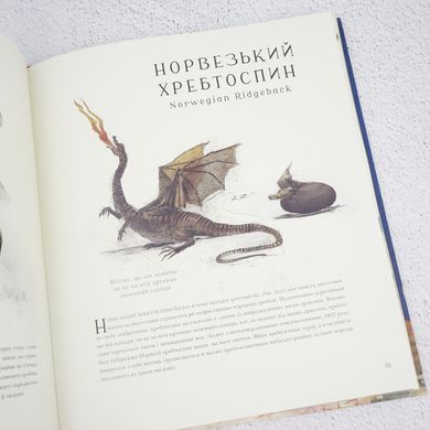 Фантастичні звірі і де їх шукати. Велике ілюстроване видання книга в інтернет-магазині Sylarozumu.com.ua