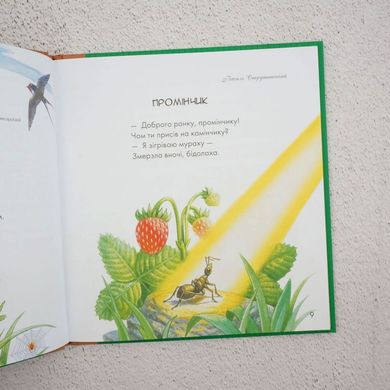 Чудо в ладошках. Сказки и стишки. Писатели – детям книга в магазине Sylarozumu.com.ua