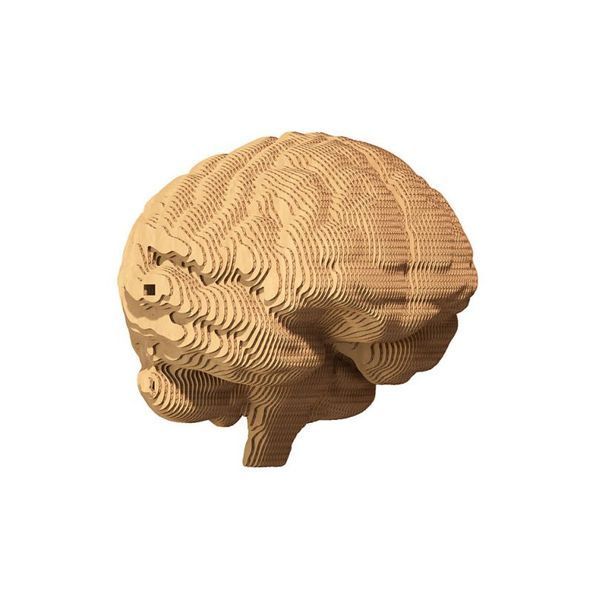 Картонный 3Д пазл Мозг CARTONIC (CARTBRAIN)