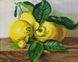 Комплектация Картина из страз Лимоны ArtStory (ASM28, ) от интернет-магазина наборов для рукоделия Sylarozumu.com.ua