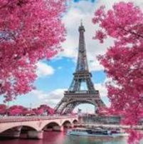 Фото Картина з страз Париж в рожевих фарбах (ME24914) Діамантові ручки (GU_178206) від інтернет-магазину рукоділля Sylarozumu.com.ua