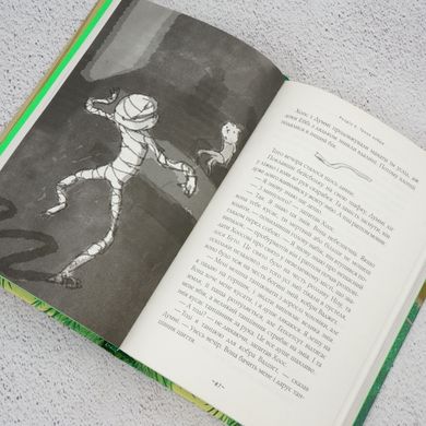 Мій братик мумія і танок кобри книга в інтернет-магазині Sylarozumu.com.ua