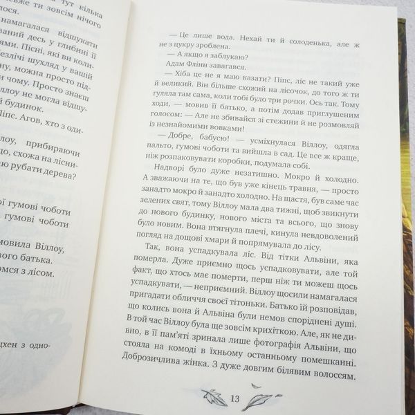 Книга Дівчинка на імʼя Віллоу купити в інтернет-магазині Sylarozumu.com.ua