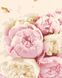 Комплектация Картина по номерам Розовые и белые пионы (0009П1) Bambino (Без коробки) от интернет-магазина товаров для творчества Sylarozumu.com.ua